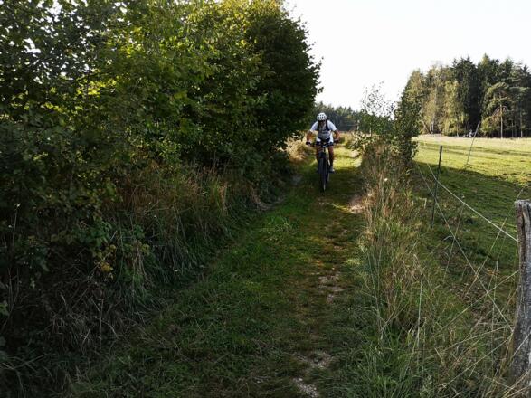 Gutau_Kern Franz (13)