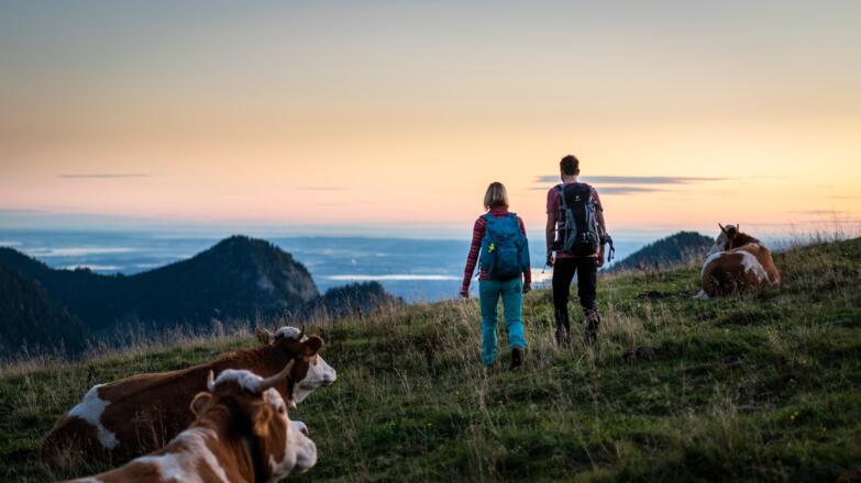lowres-wandern-sudelfeld_dietmar-denger-1