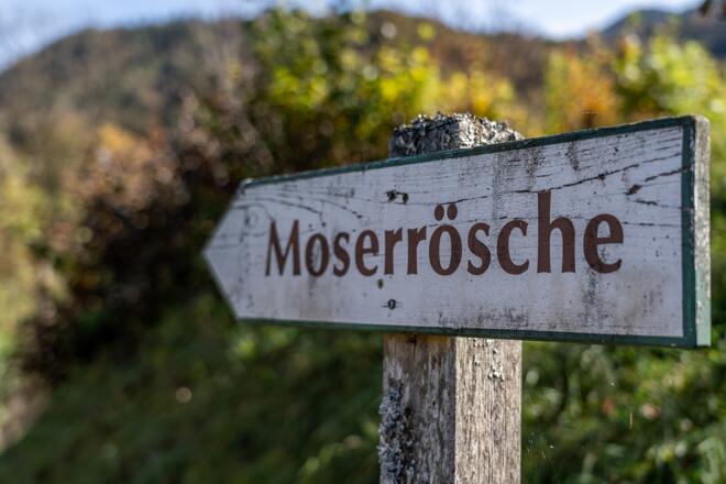 Zur Moserrösche