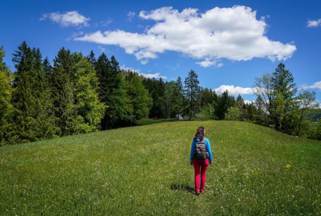 Unterwegs am Sebaldusweg