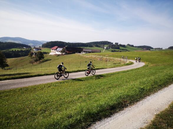 Gutau_Kern Franz (9)