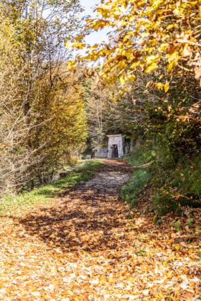 Der Weg zur Moserösche