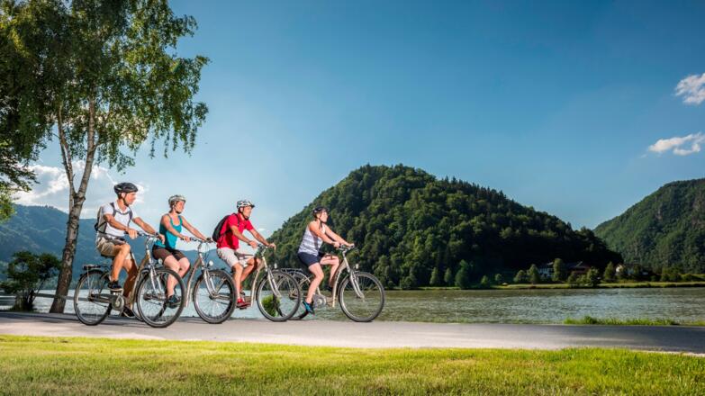 Donauradweg bei Schlögen