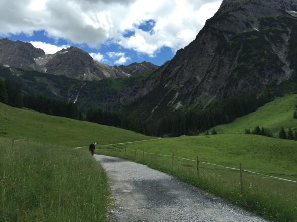 Hinein ins Wildental