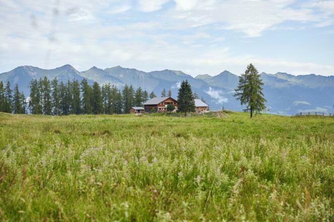 Alpe Rona am Hochplateau Tschengla (c) Alex Kaiser