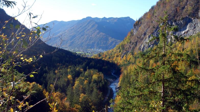 Radabfahrt mit Blick zum Feuerkogel über Ebensee.