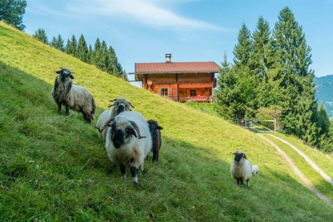 nej_20170908_DSC6459