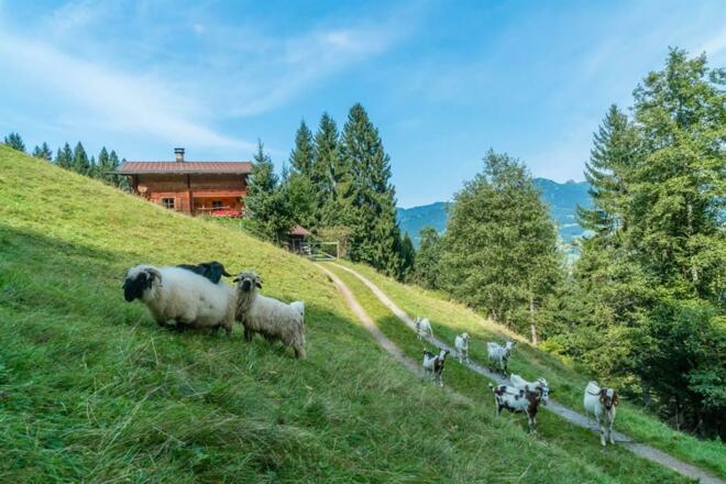 nej_20170908_DSC6450