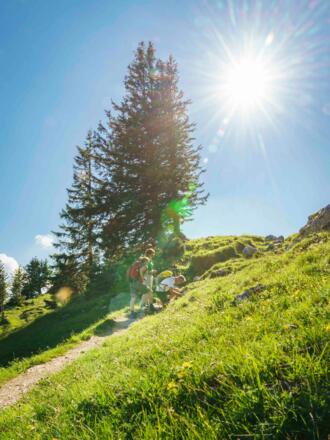 Über die Hubertushütte zum Breitenstein