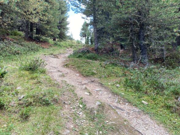 Weg Ramolalm
