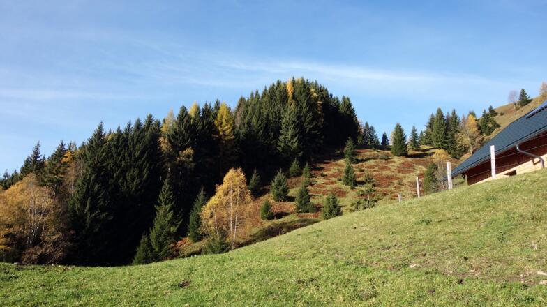 Links ist der Aussichtsgipfel, zum Hauptgipfel geht es rechts.