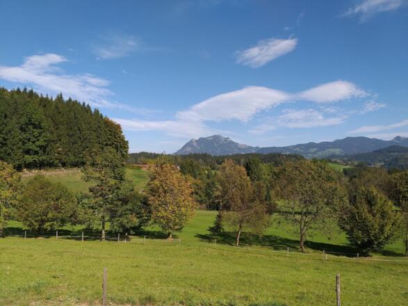 Grünten