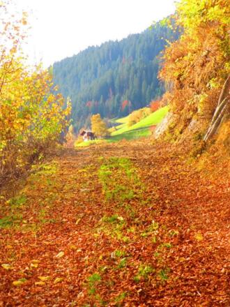Herbst
