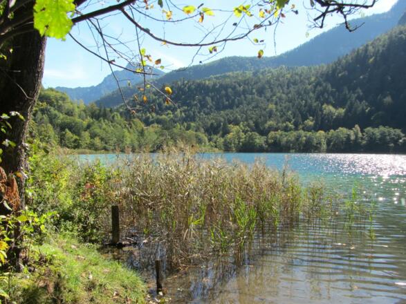 Badestelle Natureinstieg