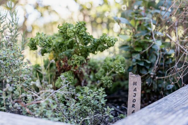 69 - Gauahof-Latschau2023-NFP-69