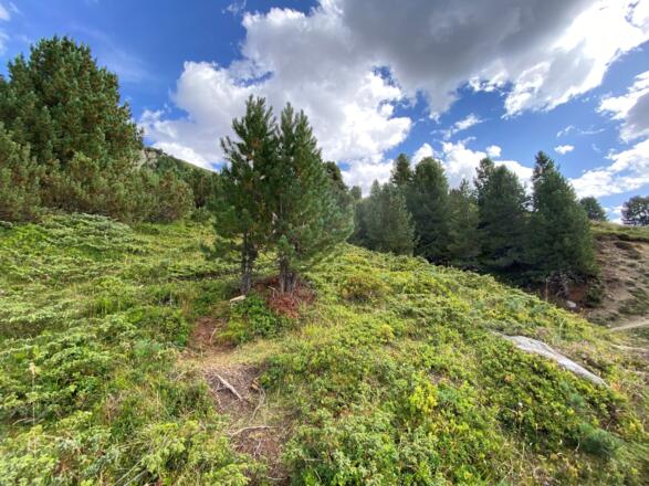 &#039;#7 Cache (Ramolalm)