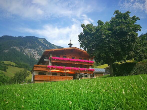 Hausansicht Sommer