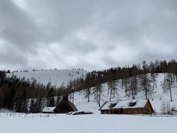 Obere Reifensteiner Alm