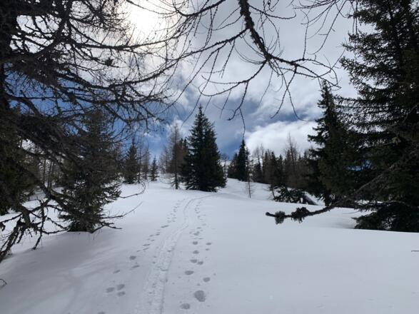 Sanfter Anstieg zur Ruppenhöhe