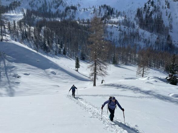 Abzweig in die Mulde zwischen Scheibenkogel und Höllkogel