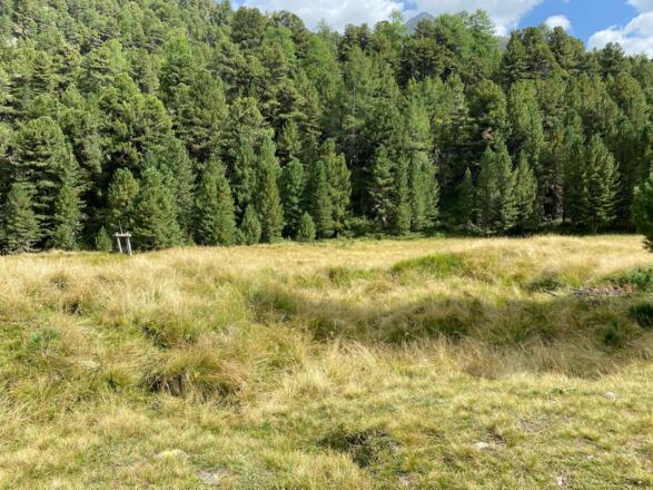 Platz Richtung Ramolalm