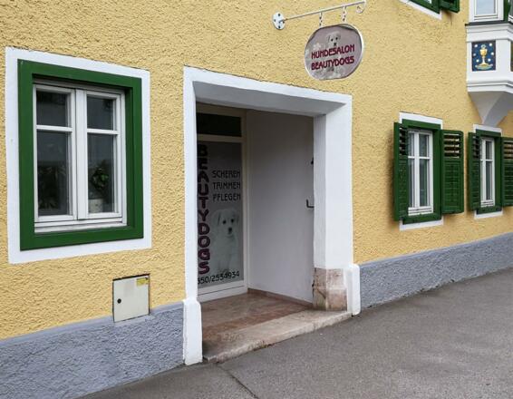 Hundesalon