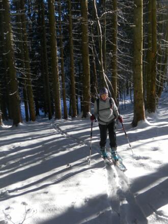freier Hochwaldanstieg
