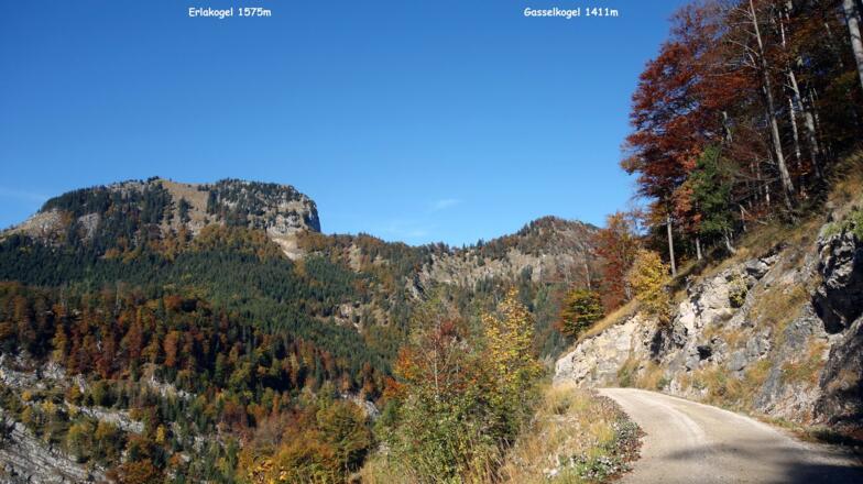 Forststraße ca. 1000m bis 950m