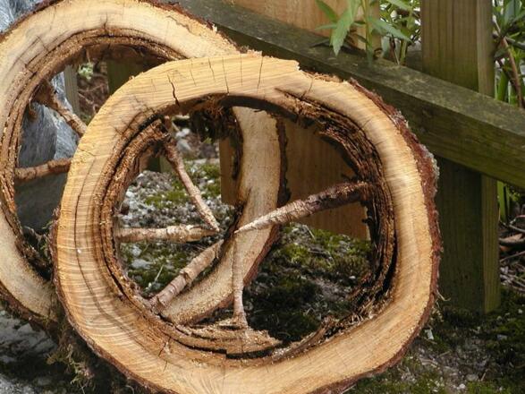 Holz in seiner schönsten Form