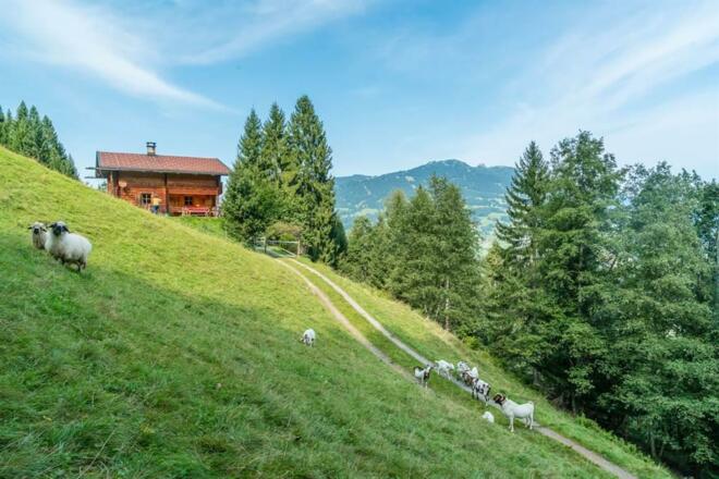 nej_20170908_DSC6464