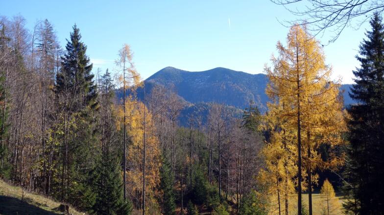 Blick zum Leonsberg beim Abstieg