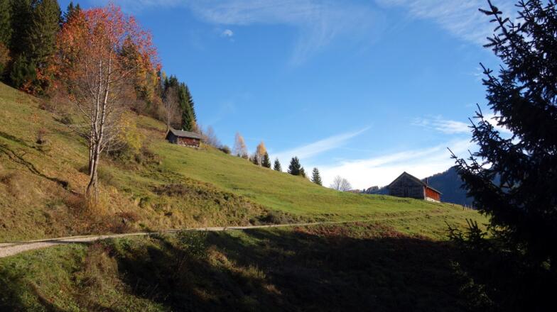 Hoheneckalm ~1035m rechts, links oben Raudaschlam