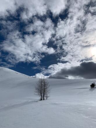 Schöne Stimmungen und Hänge
