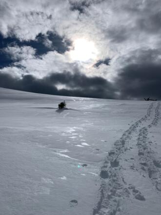Befreiendes Gehen in unberührter Natur