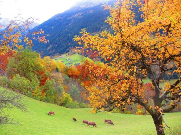 Herbst