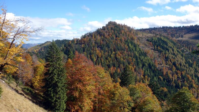 Gratgipfel ~1430m nächstes Ziel, vom Gipfelabstieg