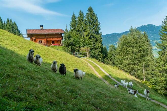 nej_20170908_DSC6455