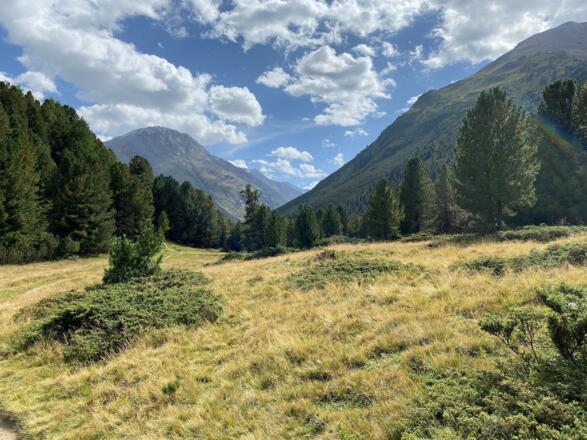 Feldstück Richtung Ramolalm