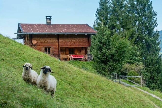 nej_20170908_DSC6465