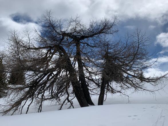 Das Leben in der Kampfzone vor der Ruppenhöhe