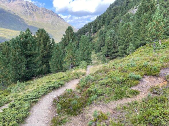 Weg Ramolalm