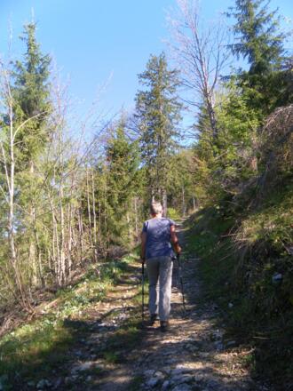 am alten Güterweg Eibleck
