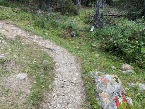 Weg Ramolalm
