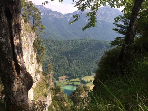 Blick zum Hochstaufen