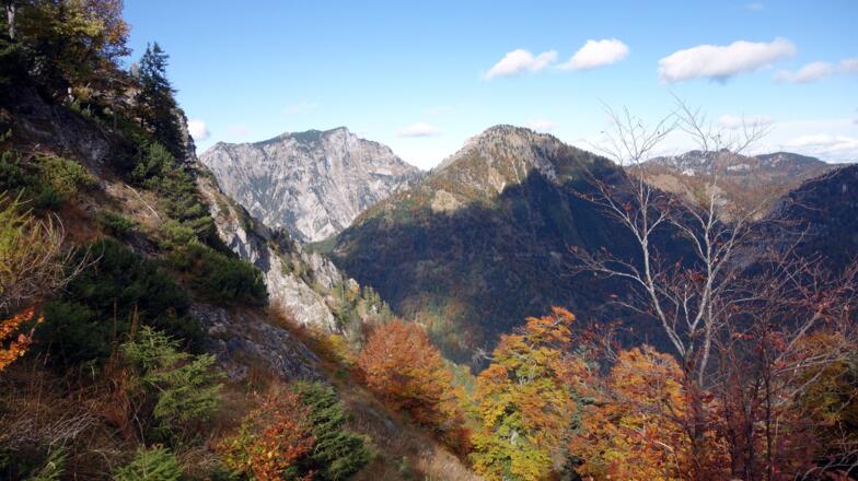Gasselnieder 1245m