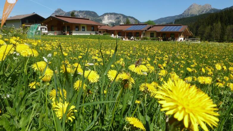 Frühlingserwachen im Almdorf Tirol