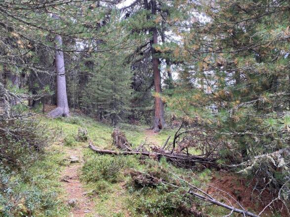 2 Cache  (Ramolalm