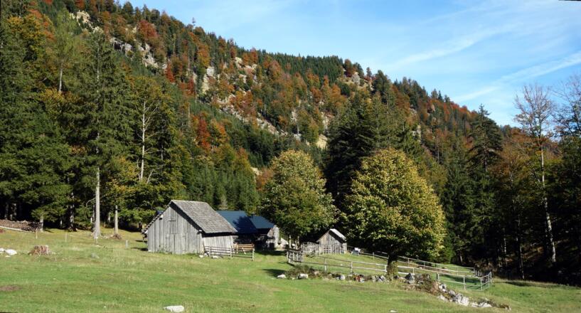 Langscheidalm 792m