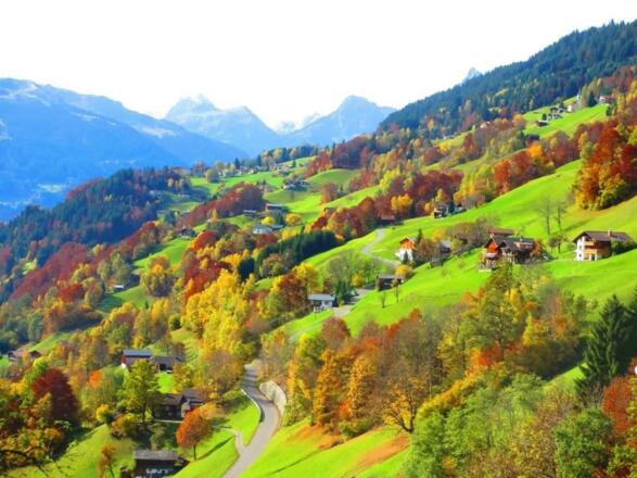 Blick vom Haus Herbst
