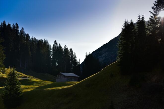 _DSC0215